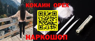 мяу мяу мука Кингисепп
