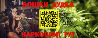 мяу мяу мука Кингисепп