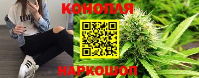 мяу мяу мука Кингисепп
