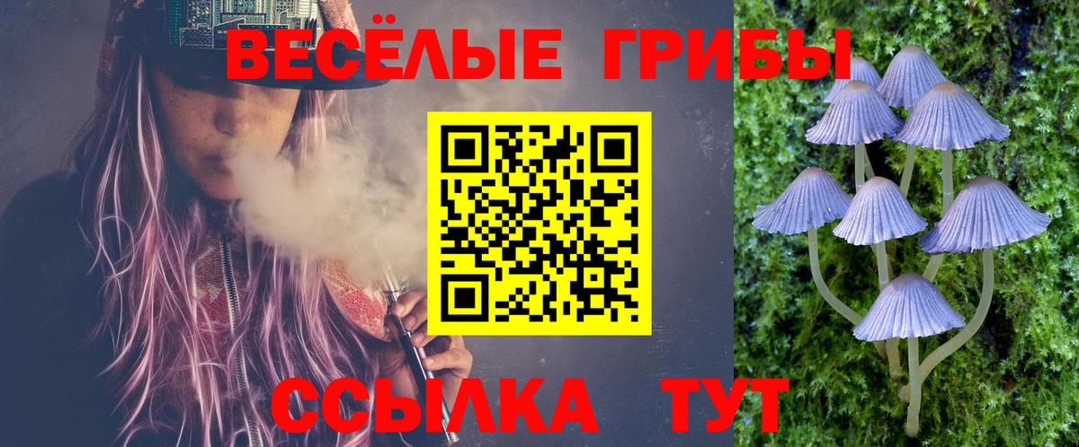 Псилоцибиновые грибы мицелий Биробиджан